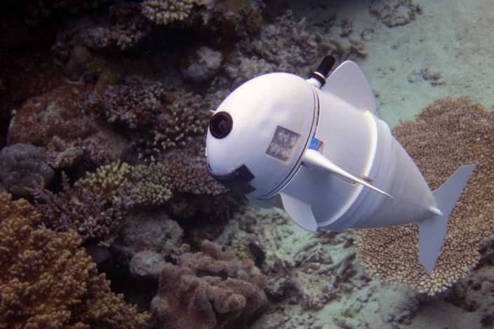 Робот с плавниками займется мониторингом океана