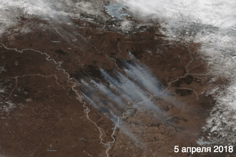 Как лесные пожары в Сибири выглядят из космоса